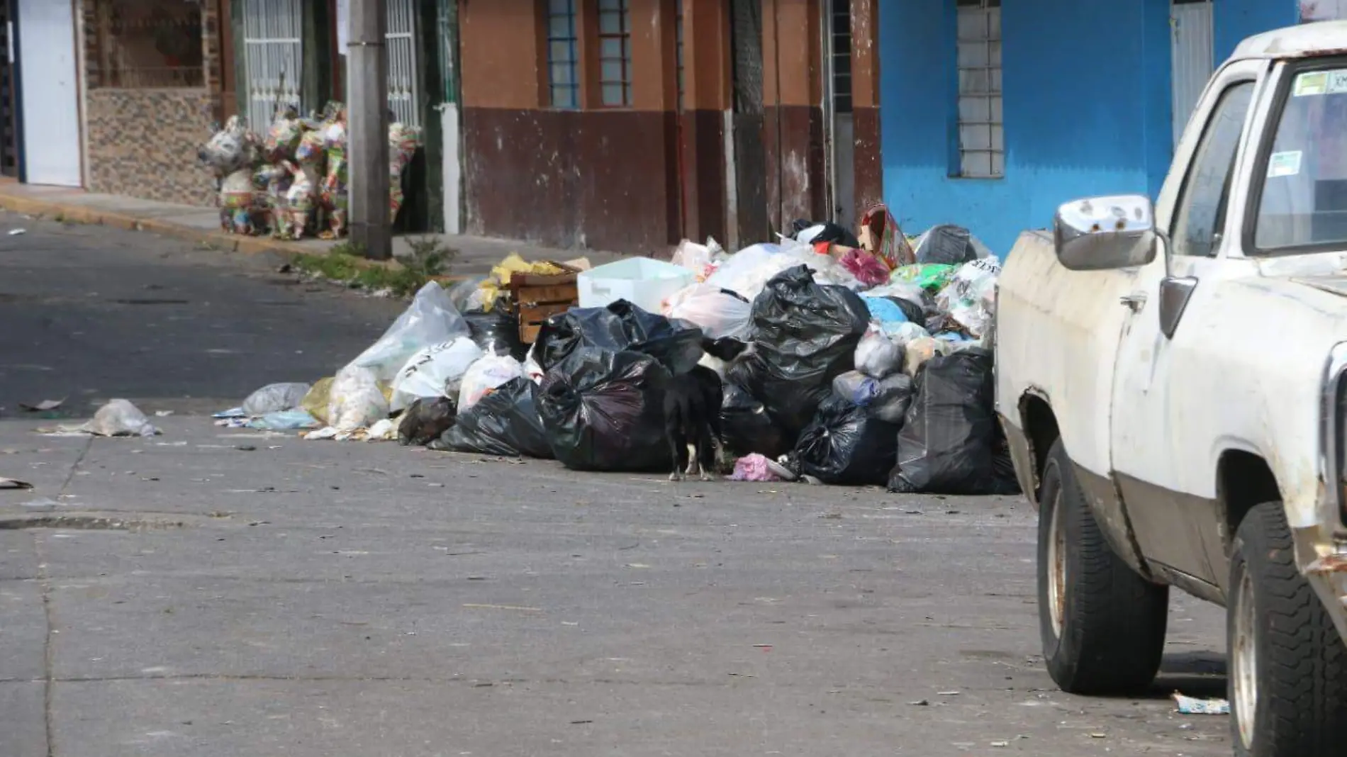 basura (1)